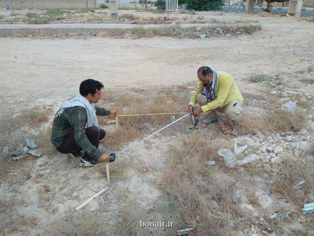 بردو تعیین عرصه می شود