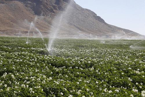 تصویب توسعه گردشگری کشاورزی در استان تهران