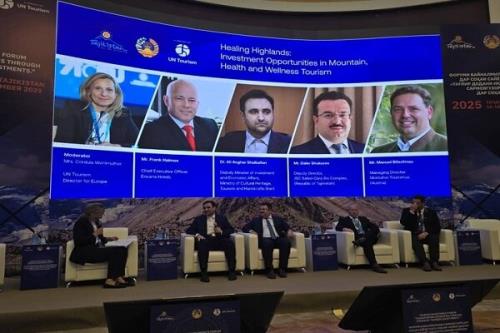 ایران آماده جذب سرمایه خارجی در عرصه گردشگری تندرستی است