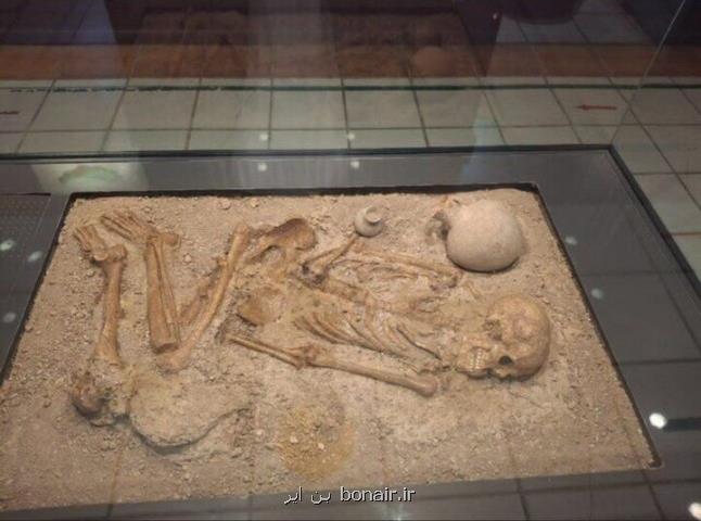 از کشف اسکلت ۳۲۰۰ ساله یک زن تا داستان سرقت از موزه شاه نعمت الله