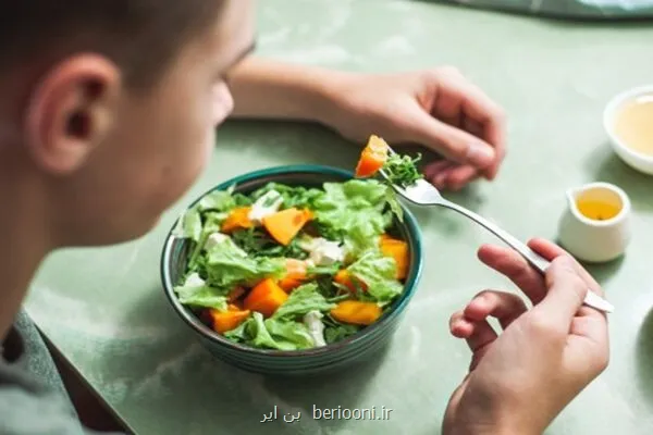 میان وعده سالم، پایه تغذیه صحیح کودکان