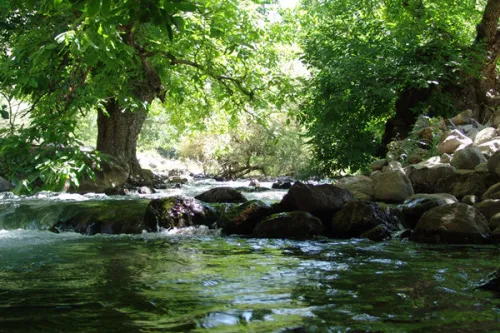 بهشتی در سایه گردوها اینجا درخت ها تاریخ دارند