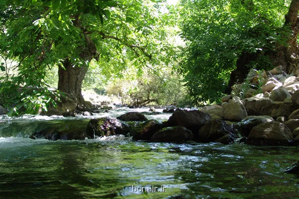 بهشتی در سایه گردوها اینجا درخت ها تاریخ دارند