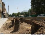 میراث زیر جلدی چهارباغ