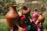 طرفداران كلپورگان در سوئد، جابه جایی معاونان در سازمان میراث