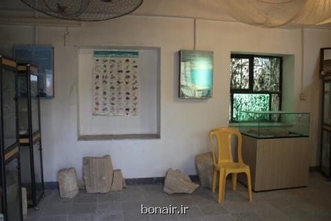 این موزه را فراموش كردند!